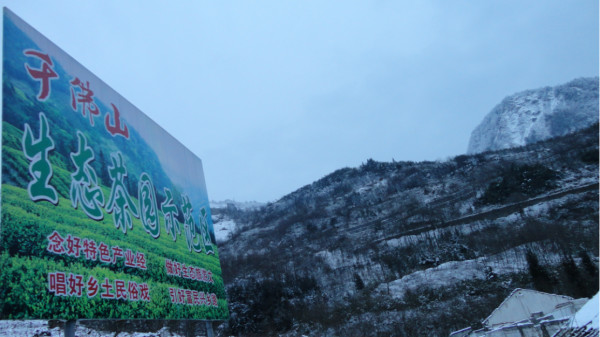 千佛山綿陽最新探索，巷弄深處的獨(dú)特風(fēng)味之旅