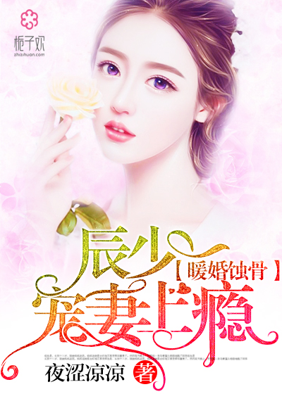 陸少寵上癮最新動態(tài)，日常趣事與真摯友情的獨特魅力