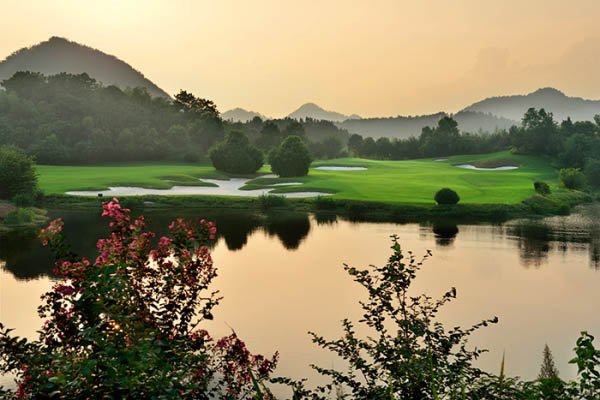 風(fēng)水最新動(dòng)態(tài)，日常小事中的風(fēng)水奧秘與溫馨解讀