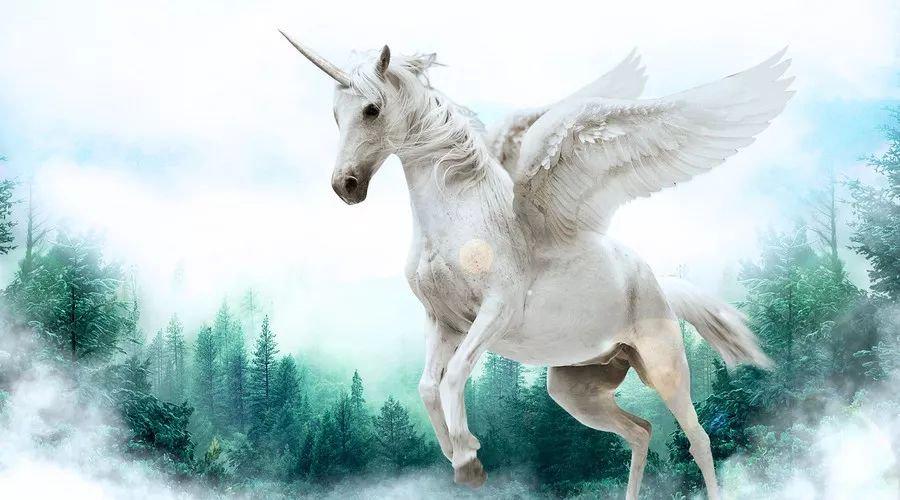 中國最新獨(dú)角獸，自信與成就感的源泉